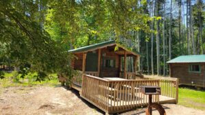 A small wooden cabin with a green roof and porch sits among tall trees. A picnic table and grill are on the deck, and sunlight filters through the leafy branches overhead. Another cabin is visible to the side.