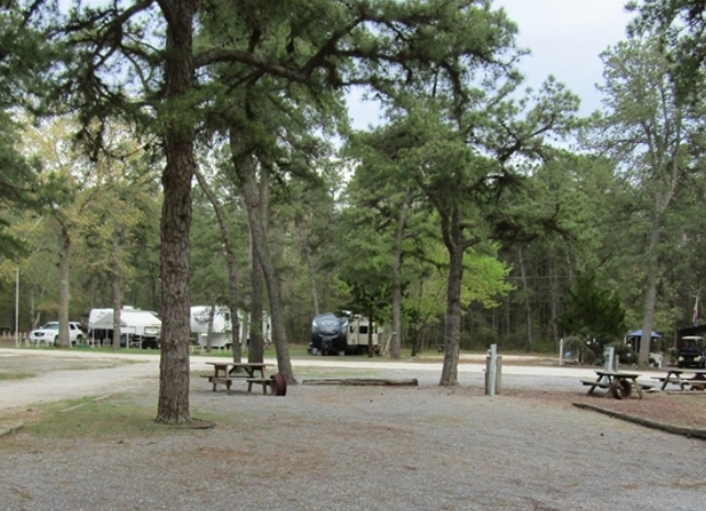 A quiet campground with picnic tables and RVs parked among tall trees. The area is surrounded by greenery, with gravel paths and open spaces under a cloudy sky.