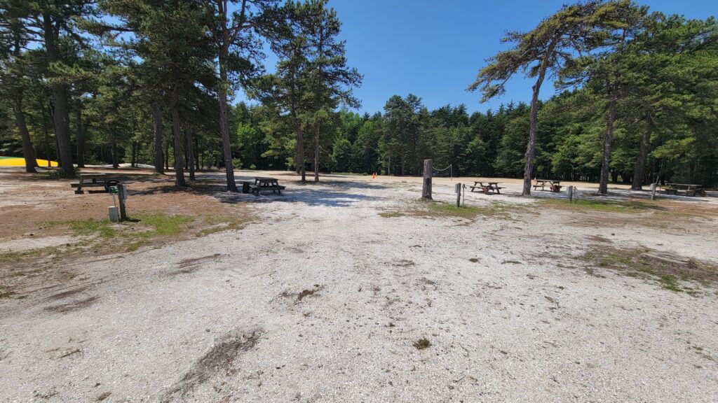 A gravel clearing with scattered picnic tables and tall pine trees under a clear blue sky, bordered by a dense forest in the background.