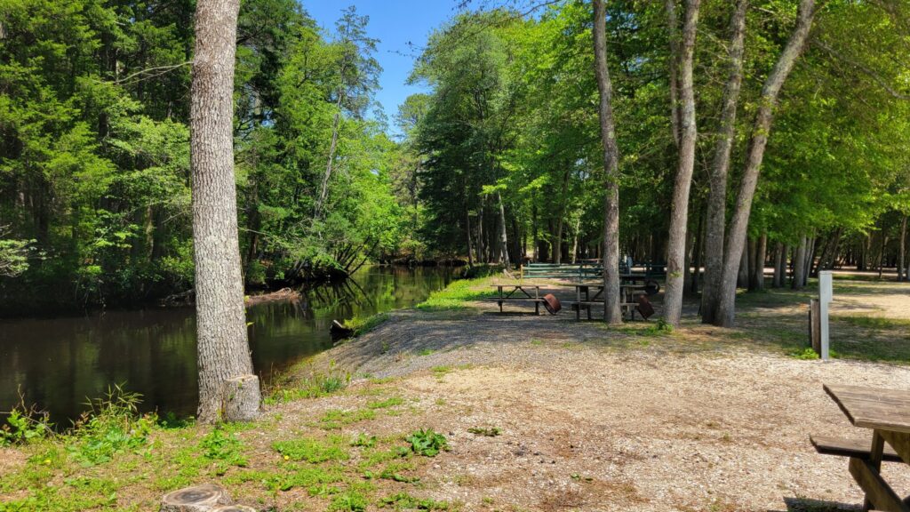 A shaded riverside area with picnic tables sits among tall trees on a sunny day. The calm river reflects the greenery, and the ground is covered with gravel and patches of grass.