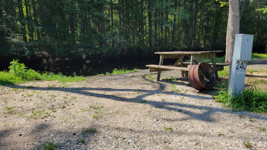 A wooden picnic table and fire ring sit near a riverbank in a wooded area, perfect for tent camping. A utility post with the number 240 stands nearby, while sunlight casts tree shadows on the gravel ground.