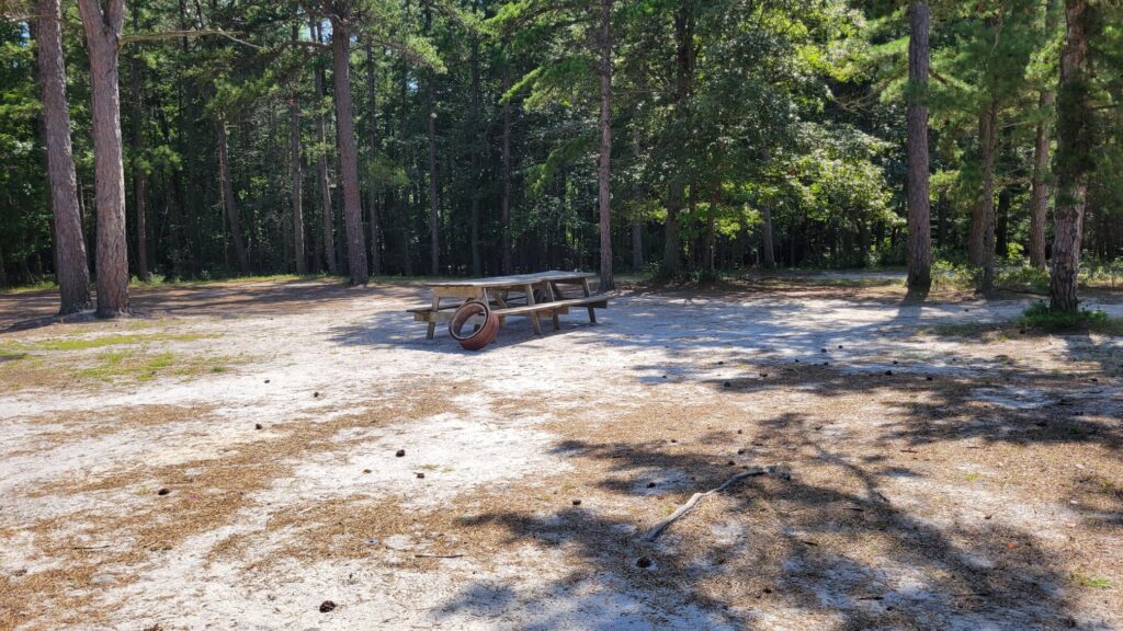 A wooden picnic table sits on sandy ground in a shaded forest clearing at Grove Group Camping, surrounded by tall pine trees. A life preserver hangs on the side of the table as sunlight filters through the trees.