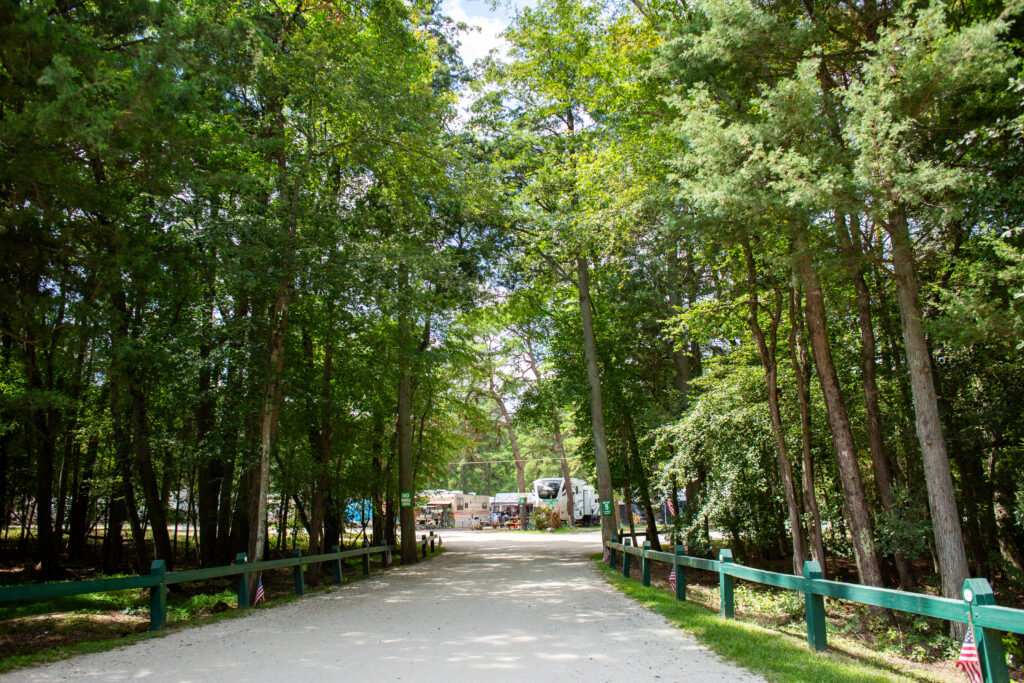A gravel road lined with green railings leads through tall trees toward a campsite with several RVs in the background.