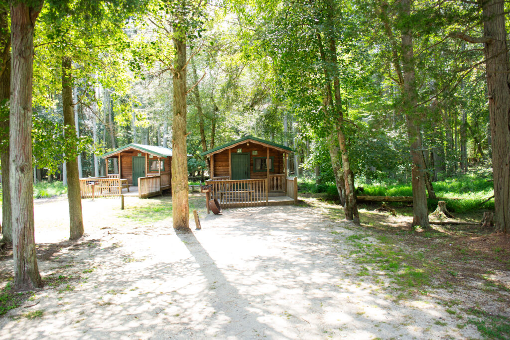 Two small wooden cabins sit among tall trees in a sunlit forest setting, with a dirt path leading up to their porches.