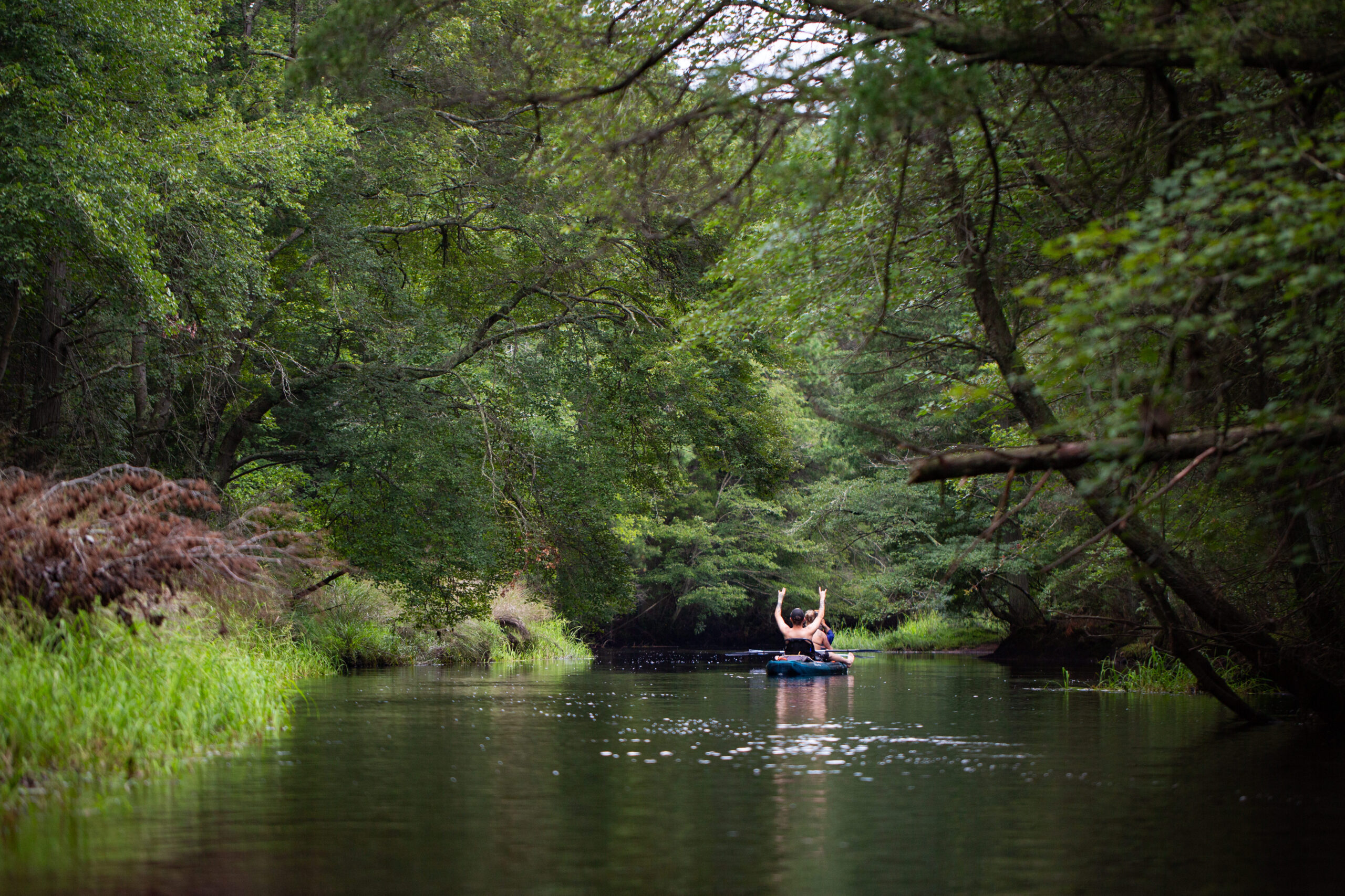 A person paddles a kayak down a narrow, tree-lined river surrounded by dense green foliage.