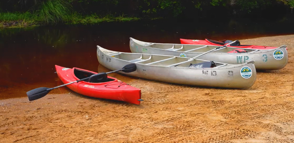 A red kayak and three silver canoes with paddles rest on a sandy shore next to calm, dark water, with green vegetation in the background.
