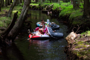 A group of people float down a narrow, tree-lined creek on inflatable tubes, surrounded by lush green vegetation.