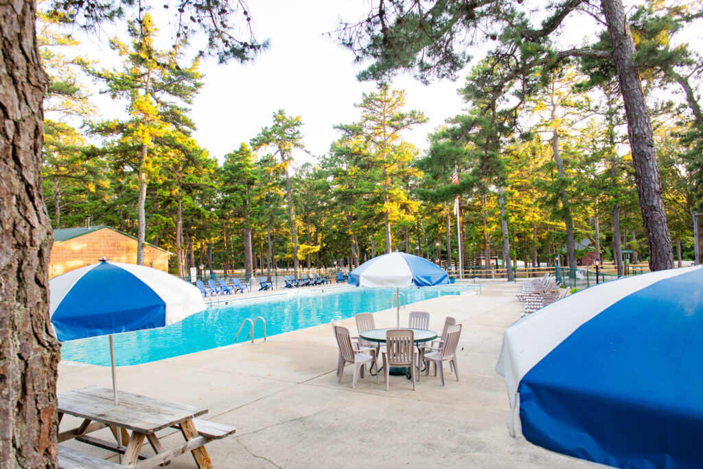 Outdoor swimming pool surrounded by lounge chairs, tables, and blue-and-white umbrellas, set in a wooded area with tall trees in the background.