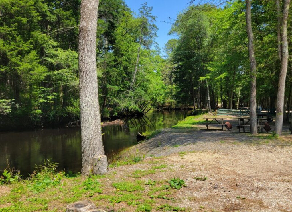 A small river runs through a wooded area with several empty picnic tables on a dirt and gravel clearing under the trees.