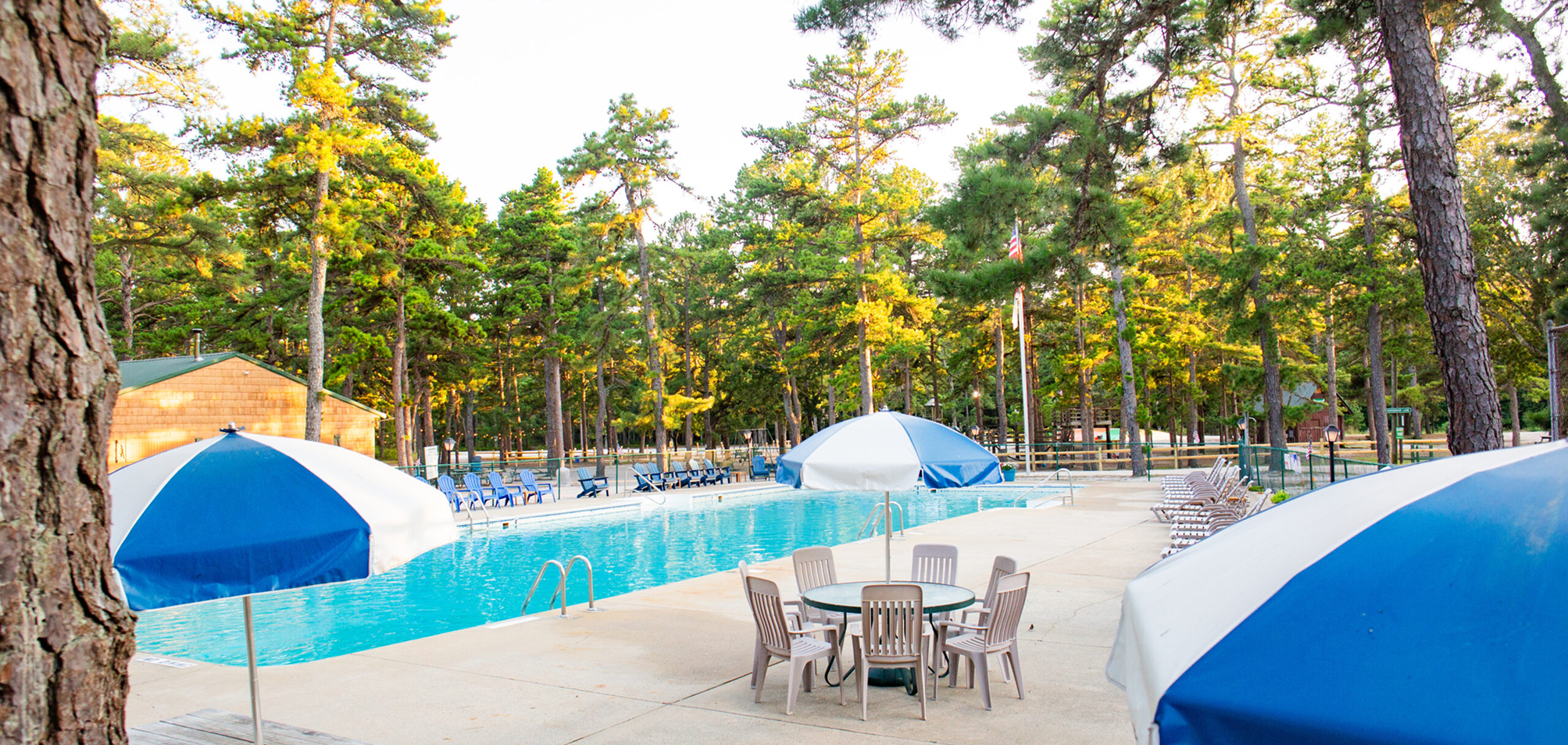Outdoor swimming pool surrounded by lounge chairs and tables with blue-and-white umbrellas, set in a forested area with tall trees.