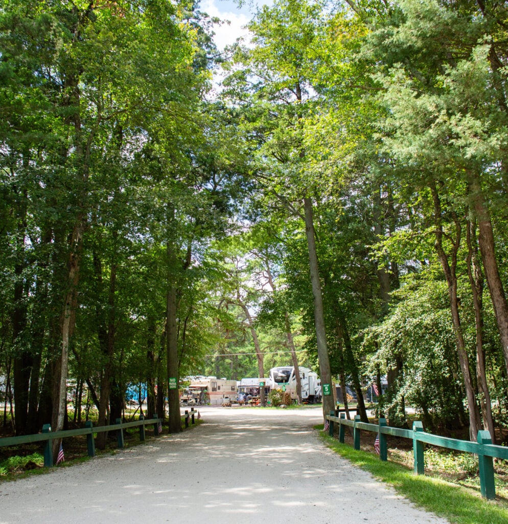A gravel road lined with green wooden fences leads to a campground with several RVs and tall trees on both sides under a partly cloudy sky.