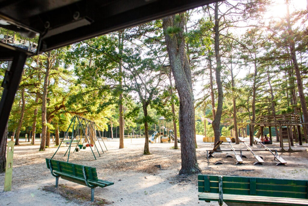 Outdoor playground with swings, slides, benches, and tall trees, bathed in sunlight.