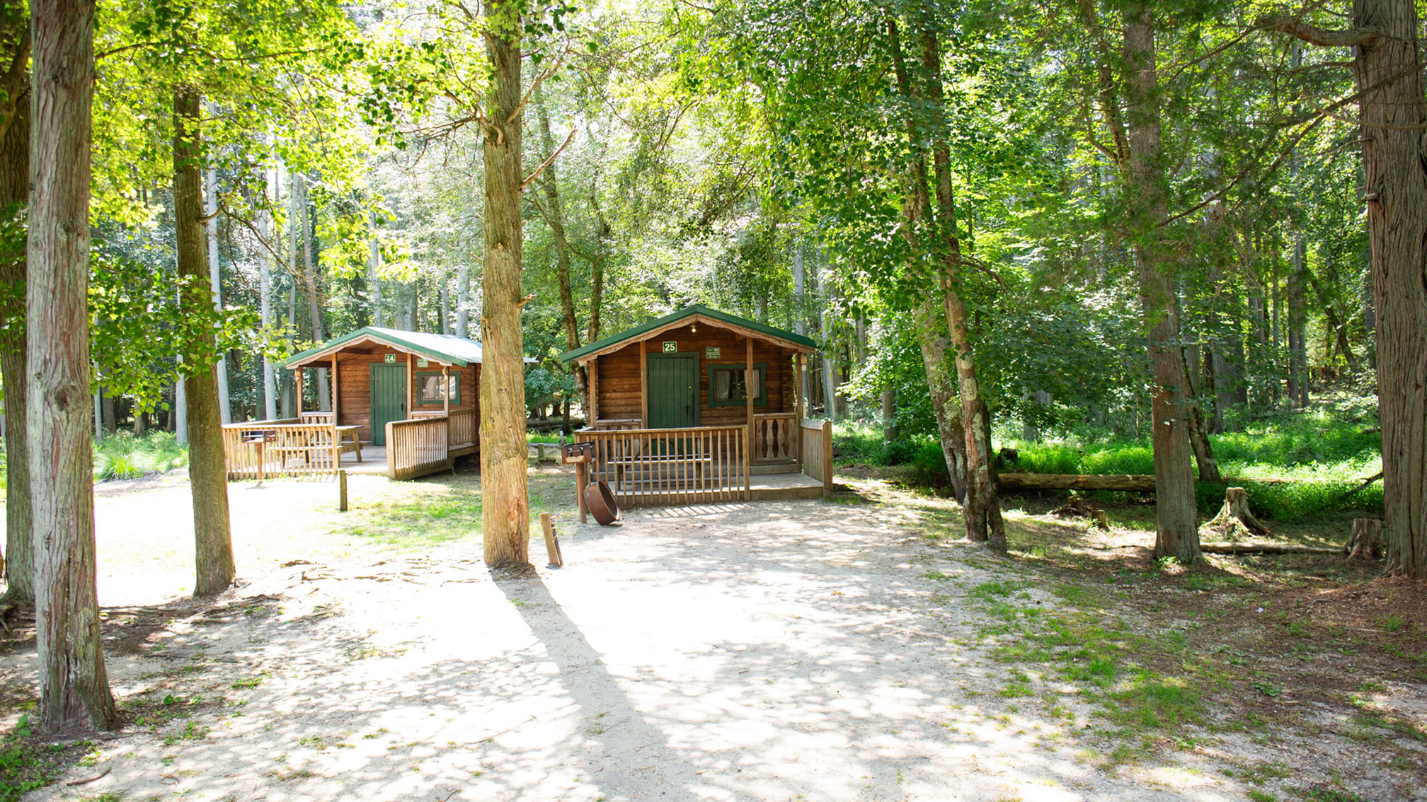 Two small wooden cabins with porches are surrounded by tall trees in a sunlit forested area with a dirt path in front.