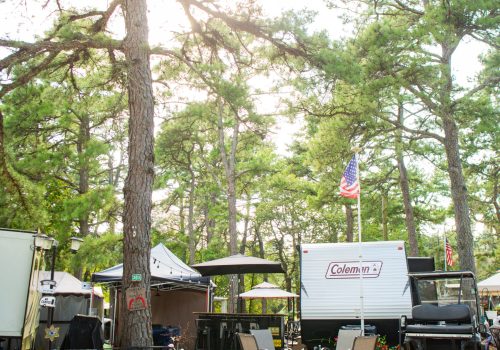 A campsite with a Coleman RV, outdoor chairs, potted plants, and American flags, surrounded by tall pine trees on a sunny day.