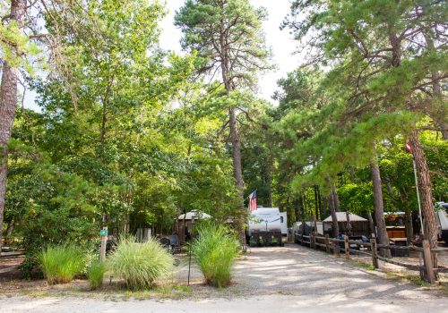 A gravel campsite surrounded by tall trees, with RVs and an American flag visible in the background under bright daylight.