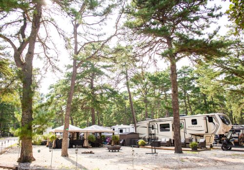 A large RV and canopy tent are set up among tall pine trees in a sunlit campground, with picnic tables and outdoor furniture visible.